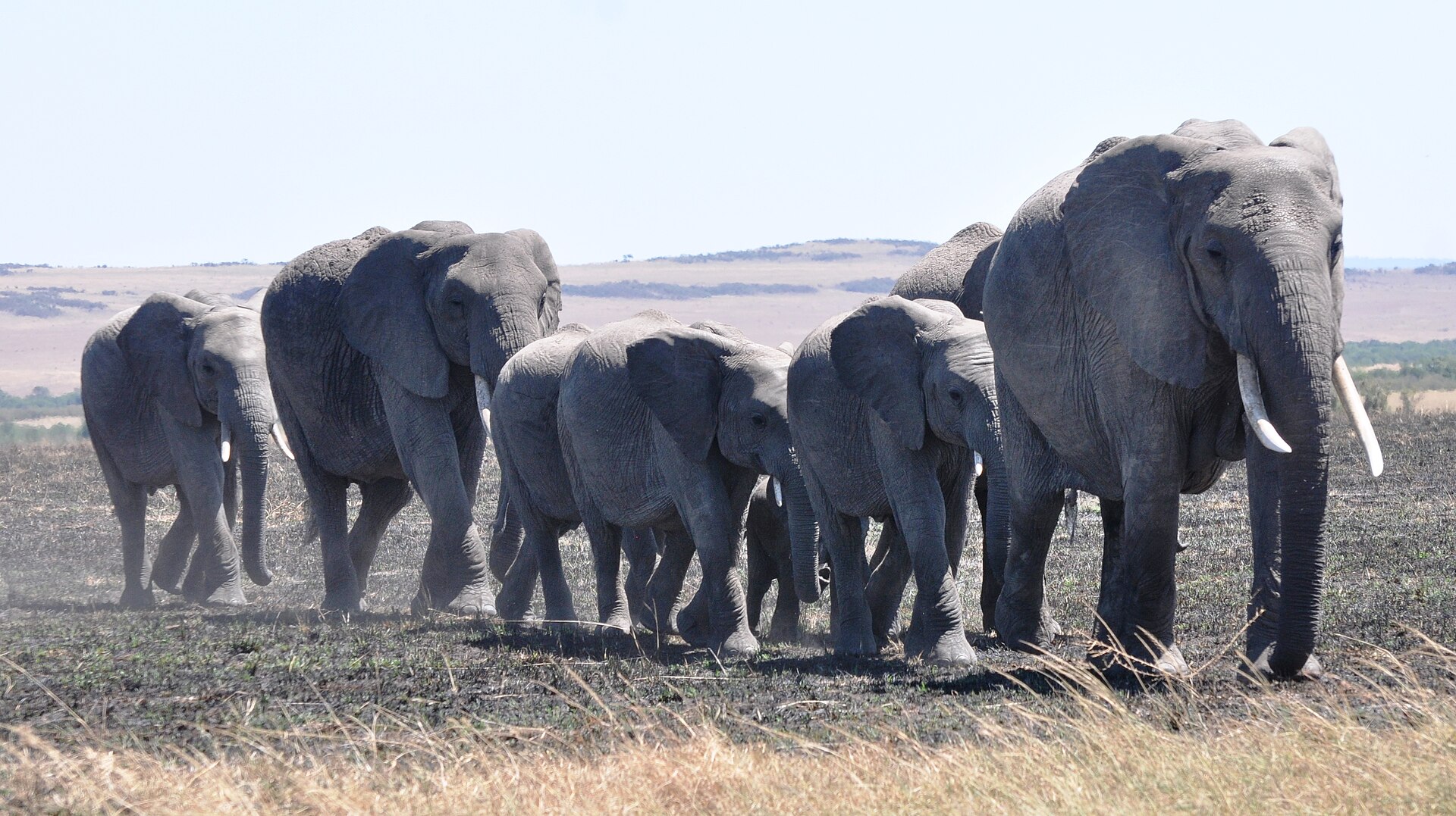 Kenya